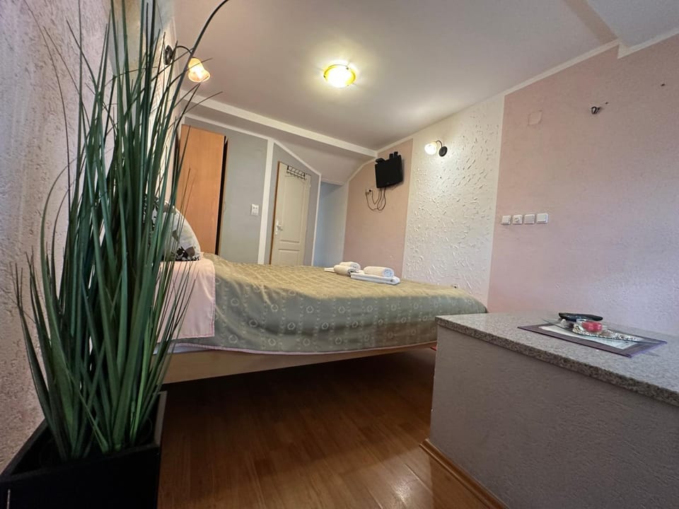 Studio x2 Apartment in Serbia