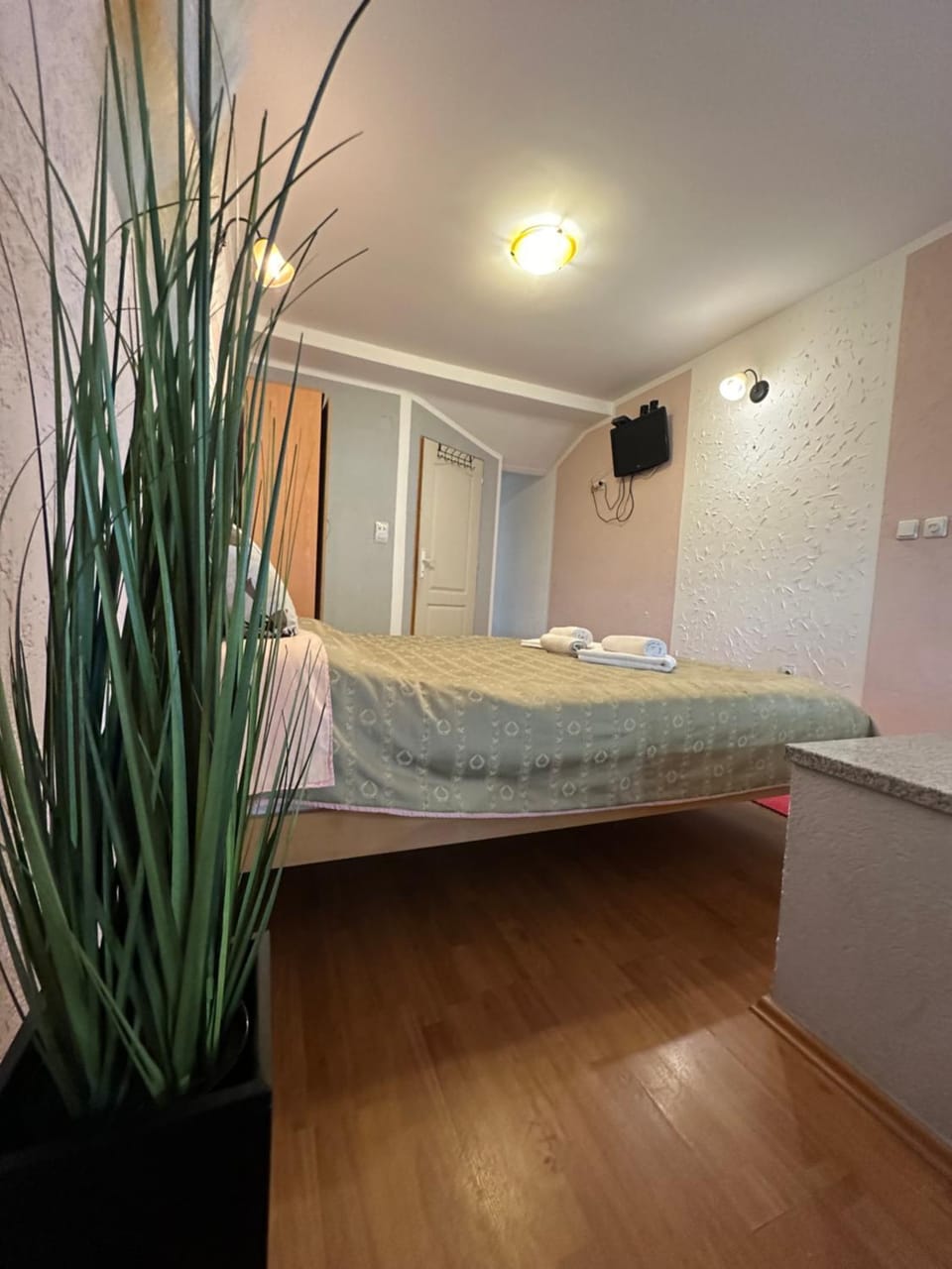 Studio x2 Apartment in Serbia