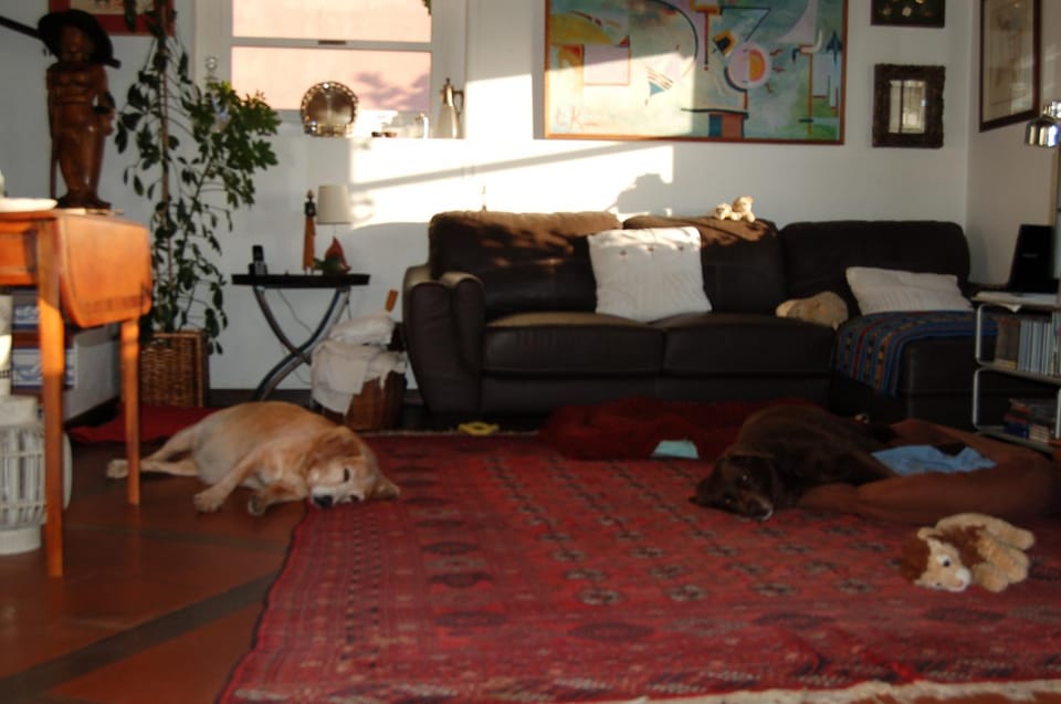 Seating area