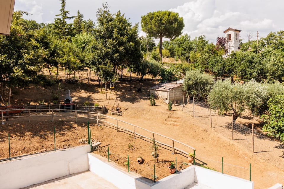 Spring, Day, Natural landscape, Garden, Garden view