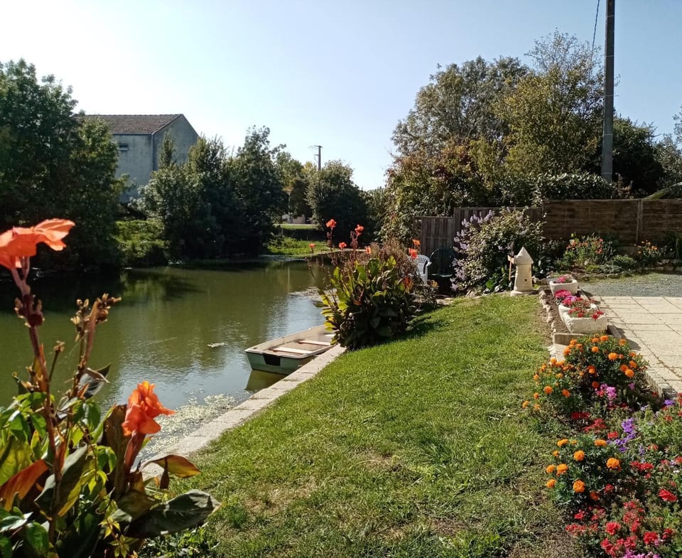 Lake view, River view