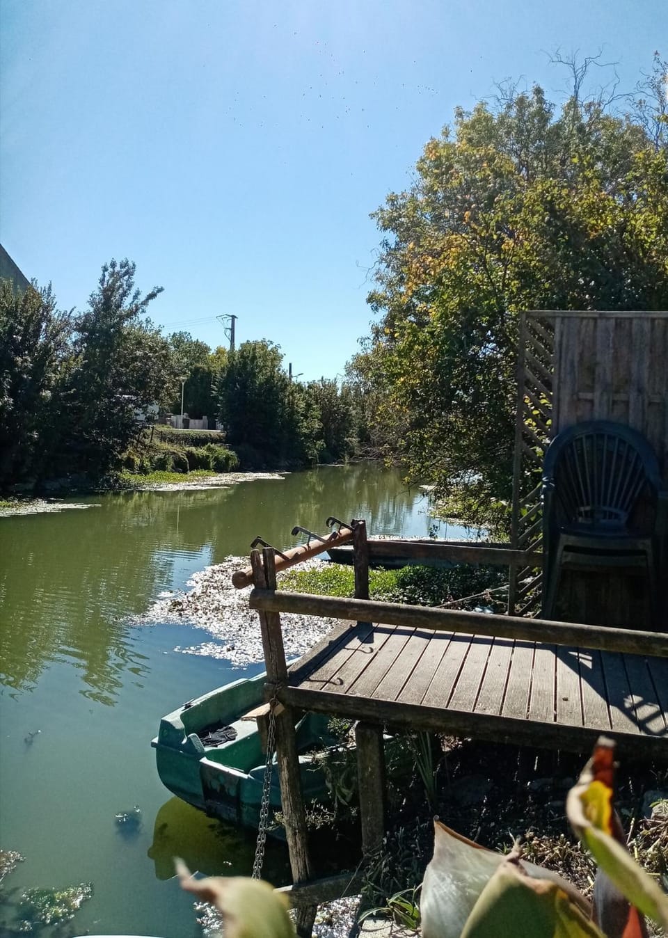 Fishing