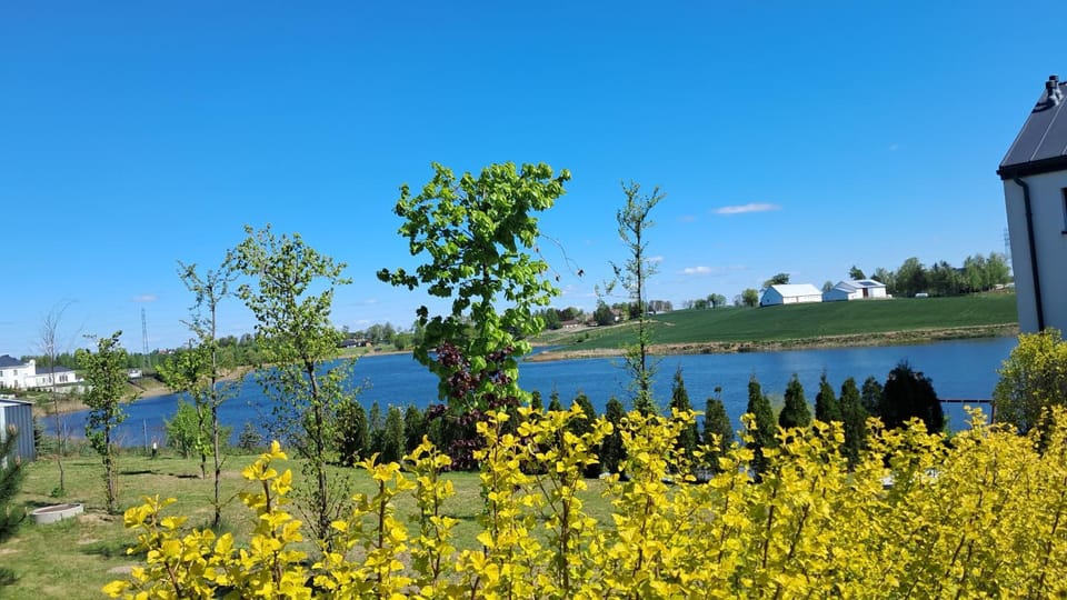 Lake view