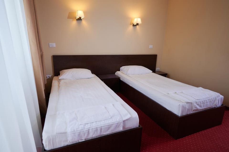 Pensiunea Rami Hotel in Romania
