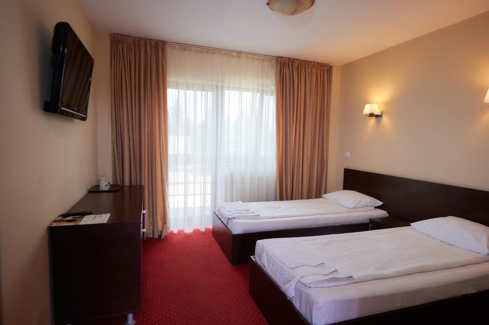 Pensiunea Rami Hotel in Romania