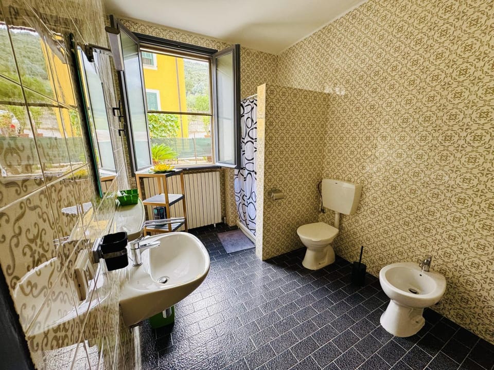 Toilet, Bathroom, bidet