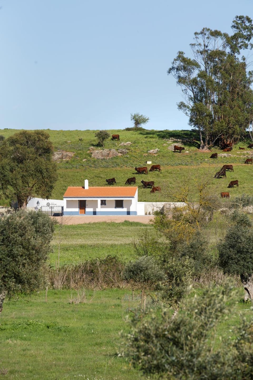 Monte de Matacães House in Évora District, Portugal