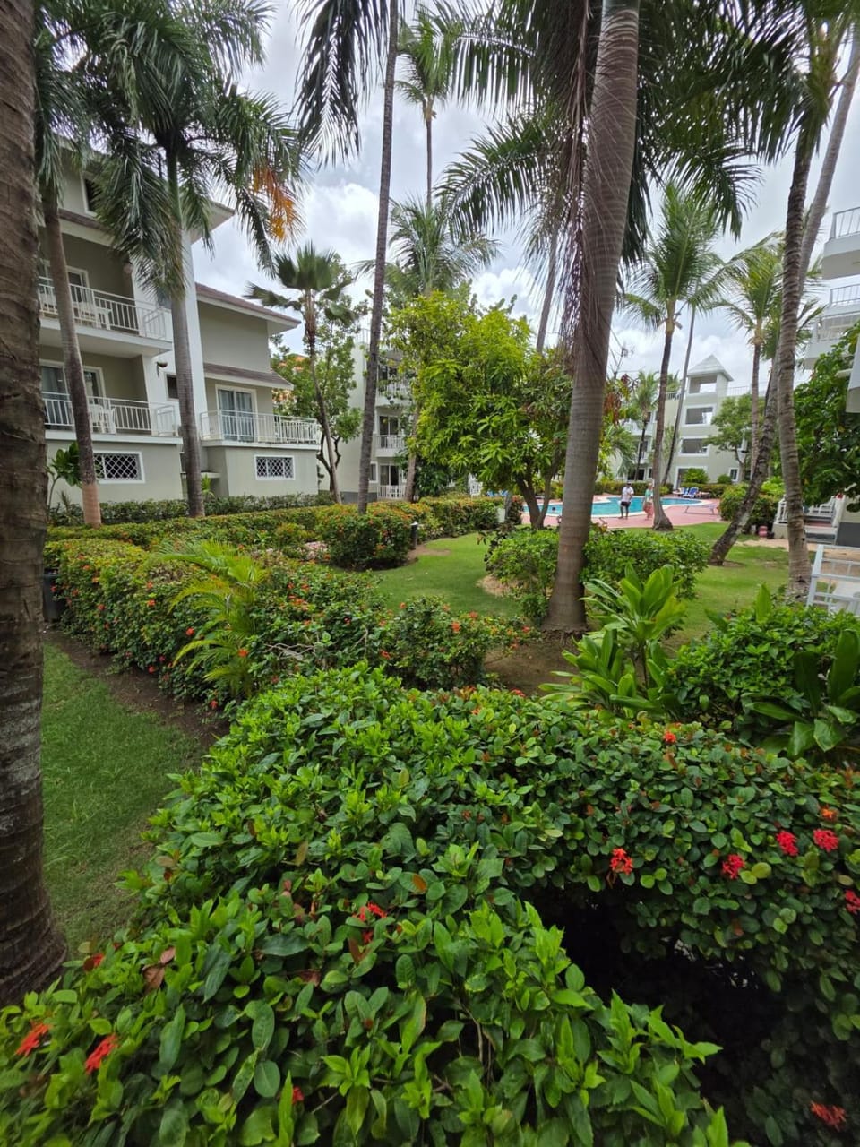 Basecamp Punta Cana Beach Adventure Apartments Sleep & Go Excursions Deals Apartment in Punta Cana