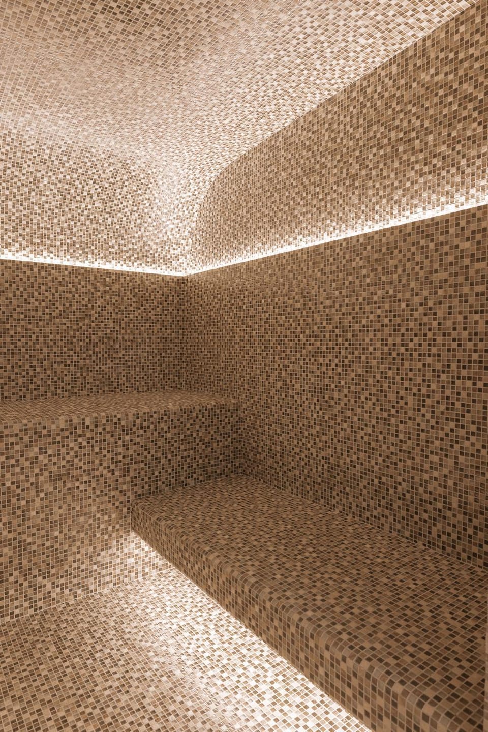 Steam room