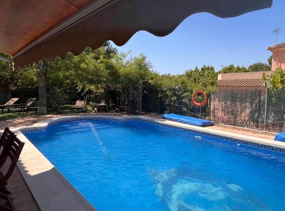 Pool view, Swimming pool, sunbed