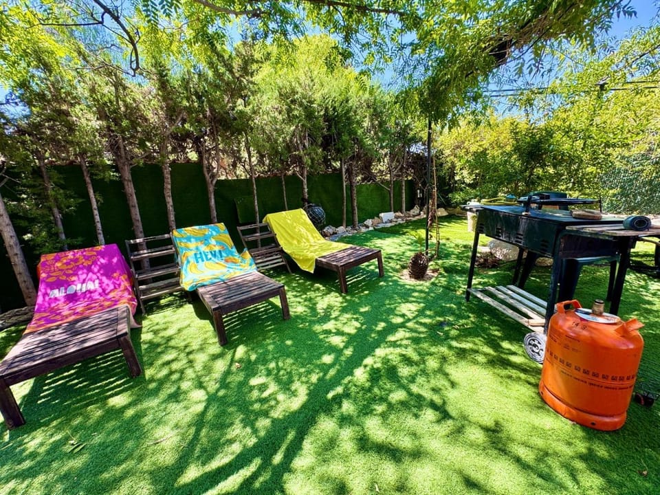 Spring, Natural landscape, Garden, Garden view, sunbed
