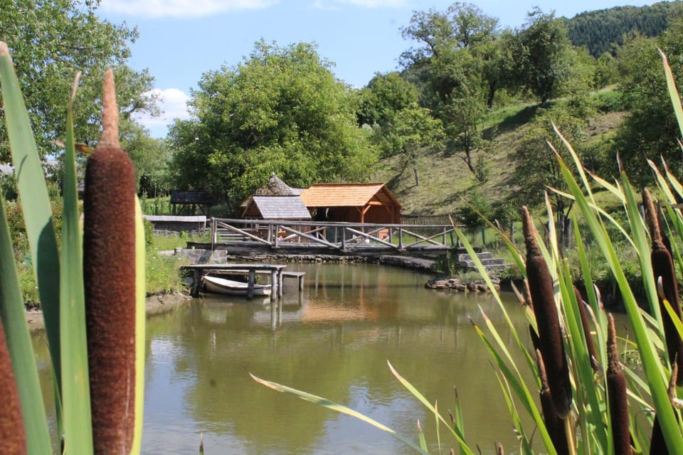 Summer, Lake view, Shopping Area, Entertainment