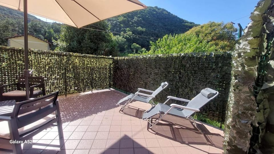 Patio, Garden, sunbed