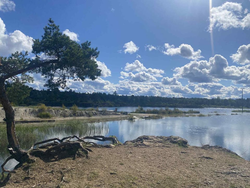 Lake view