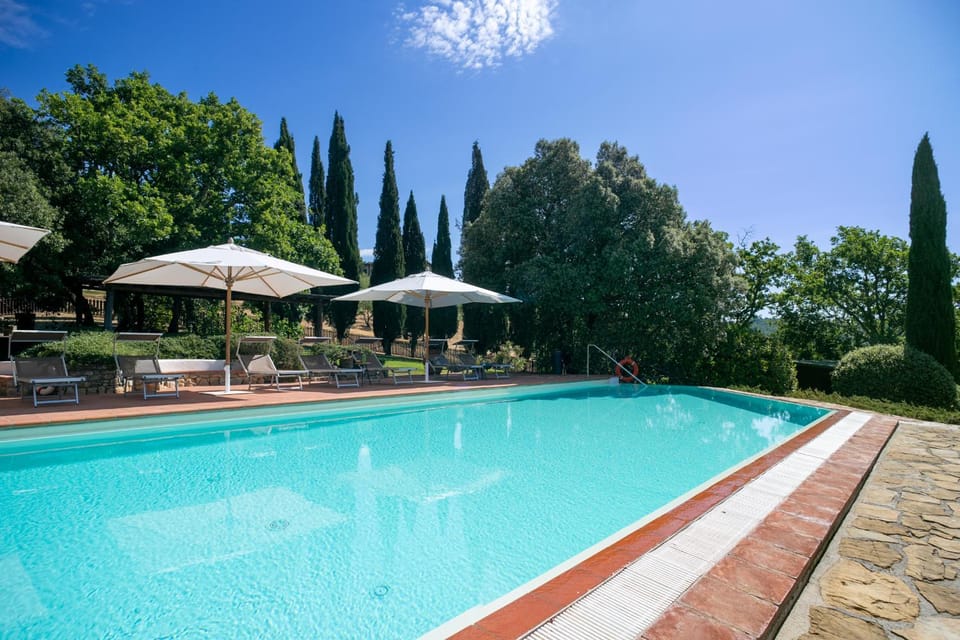 Pool view, Swimming pool, Swimming pool, sunbed