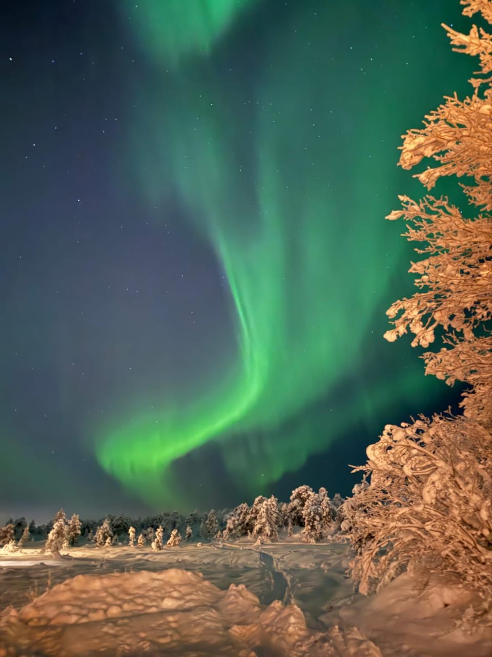 Modern house at Senja Apartment in Nordland, Norway
