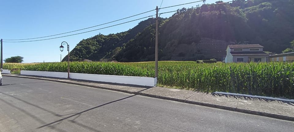 Quiet street view