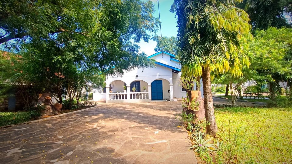 Property building, Garden view