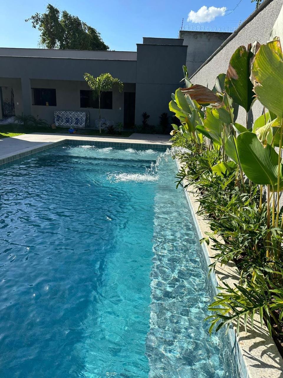 Garden, Swimming pool