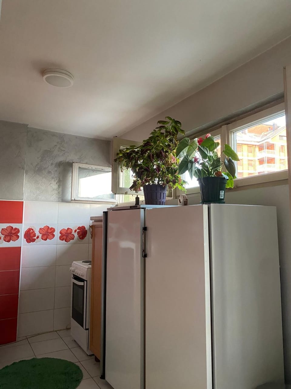 Stan na dan Apartment in Zlatibor District, Serbia