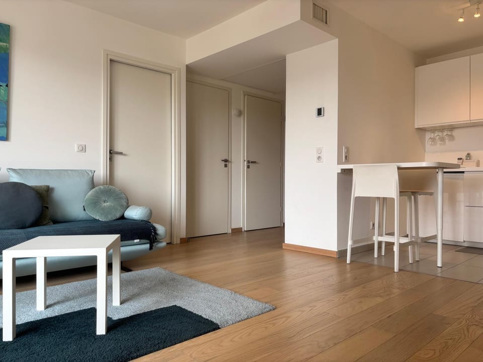 Beau T2 au bord du Lez Apartment in Montpellier