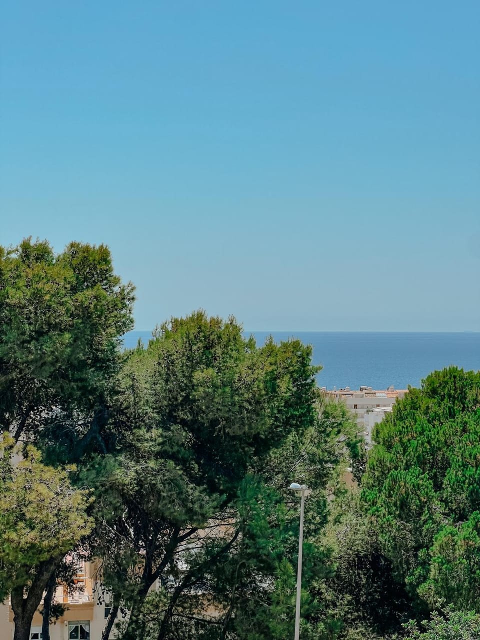 Villa Helecho Villa in Marbella