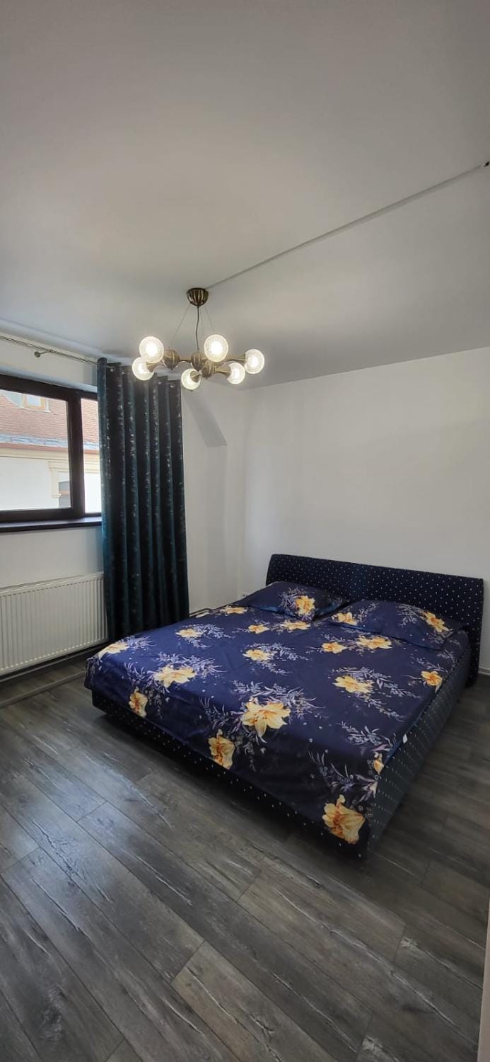 Bistro Centru Vechi Craiova Bed and Breakfast in Craiova