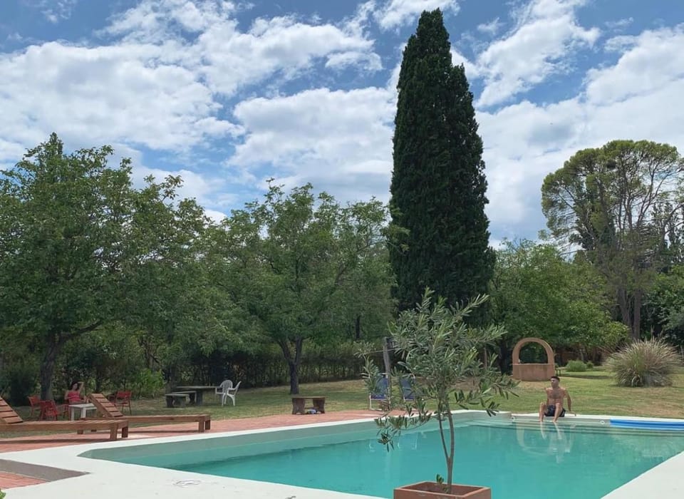 Natural landscape, Garden, Swimming pool