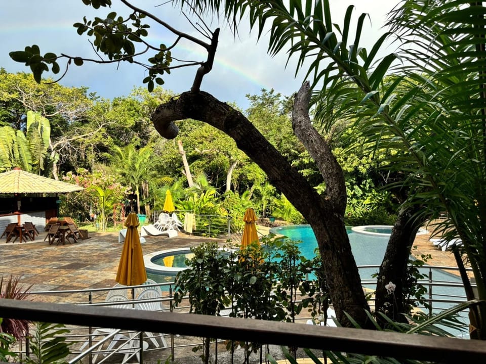 Garden, Swimming pool