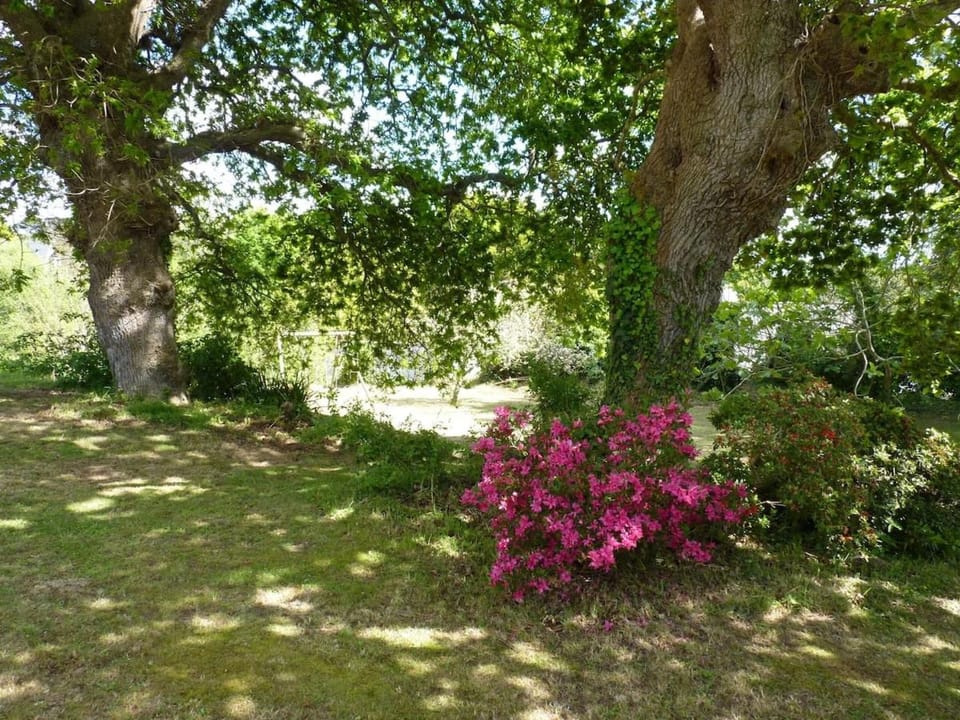 Spring, Natural landscape, Garden, Garden view