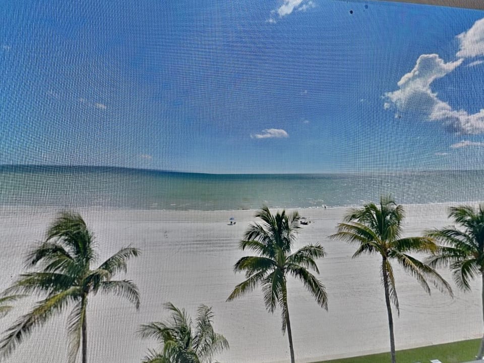 Seaside 505 Apartment in Estero Island