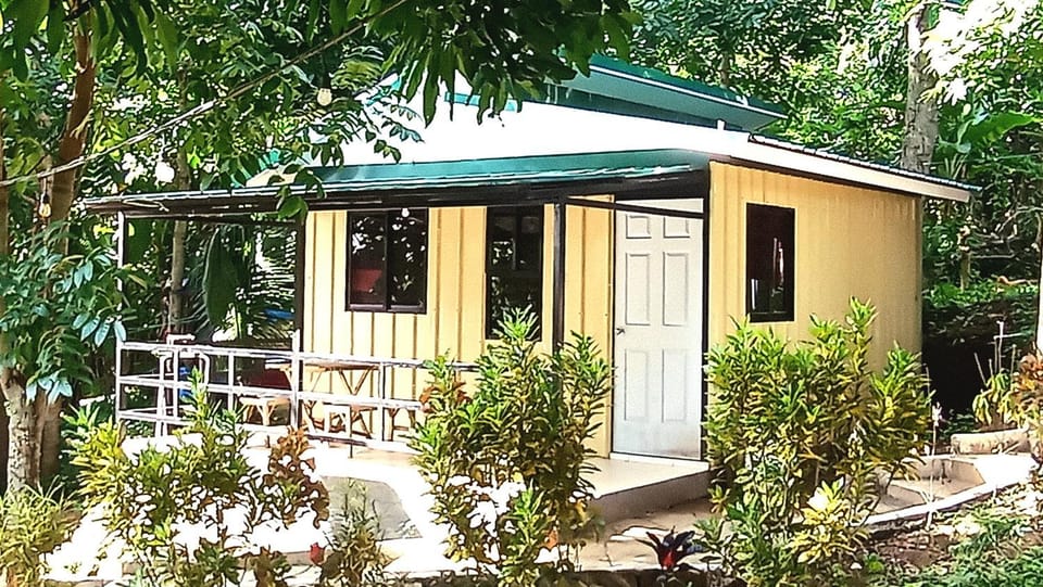 Property building, Garden view