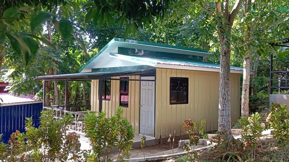 Property building, Day, Garden