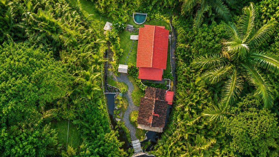 Property building, Day, Bird's eye view