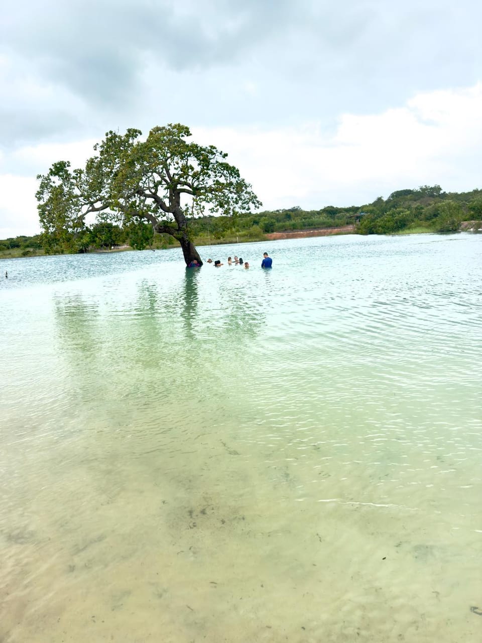 Lake view