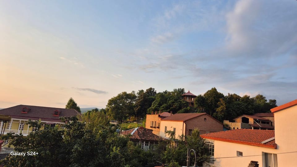 Telavi baadur Balarjishvilis 9 Villa in Georgia