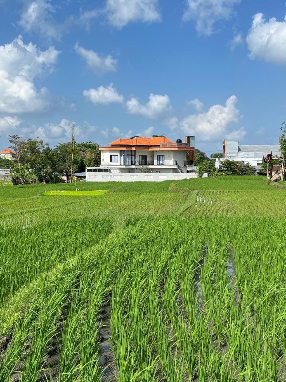 Natural landscape, Garden