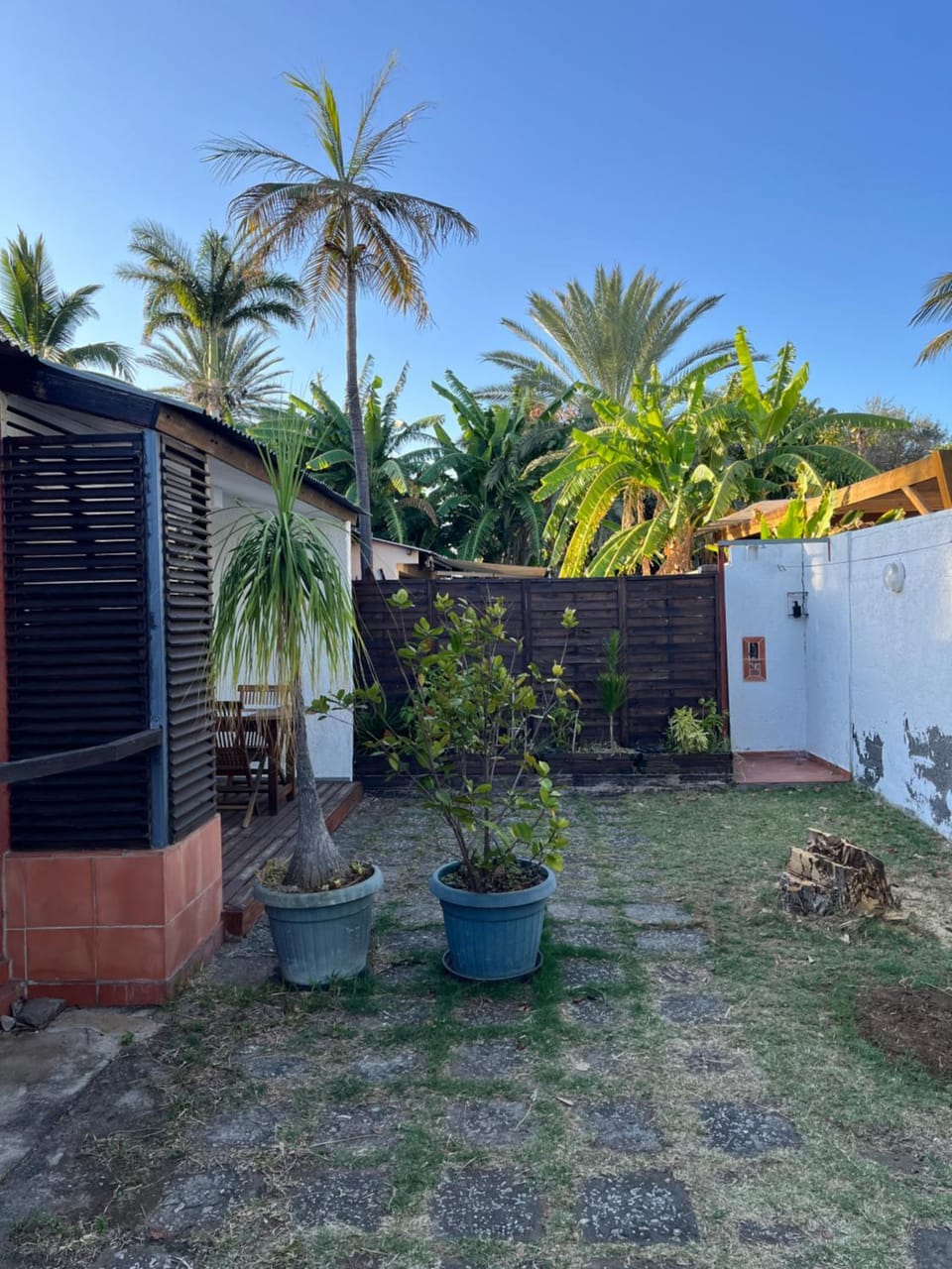 Garden view
