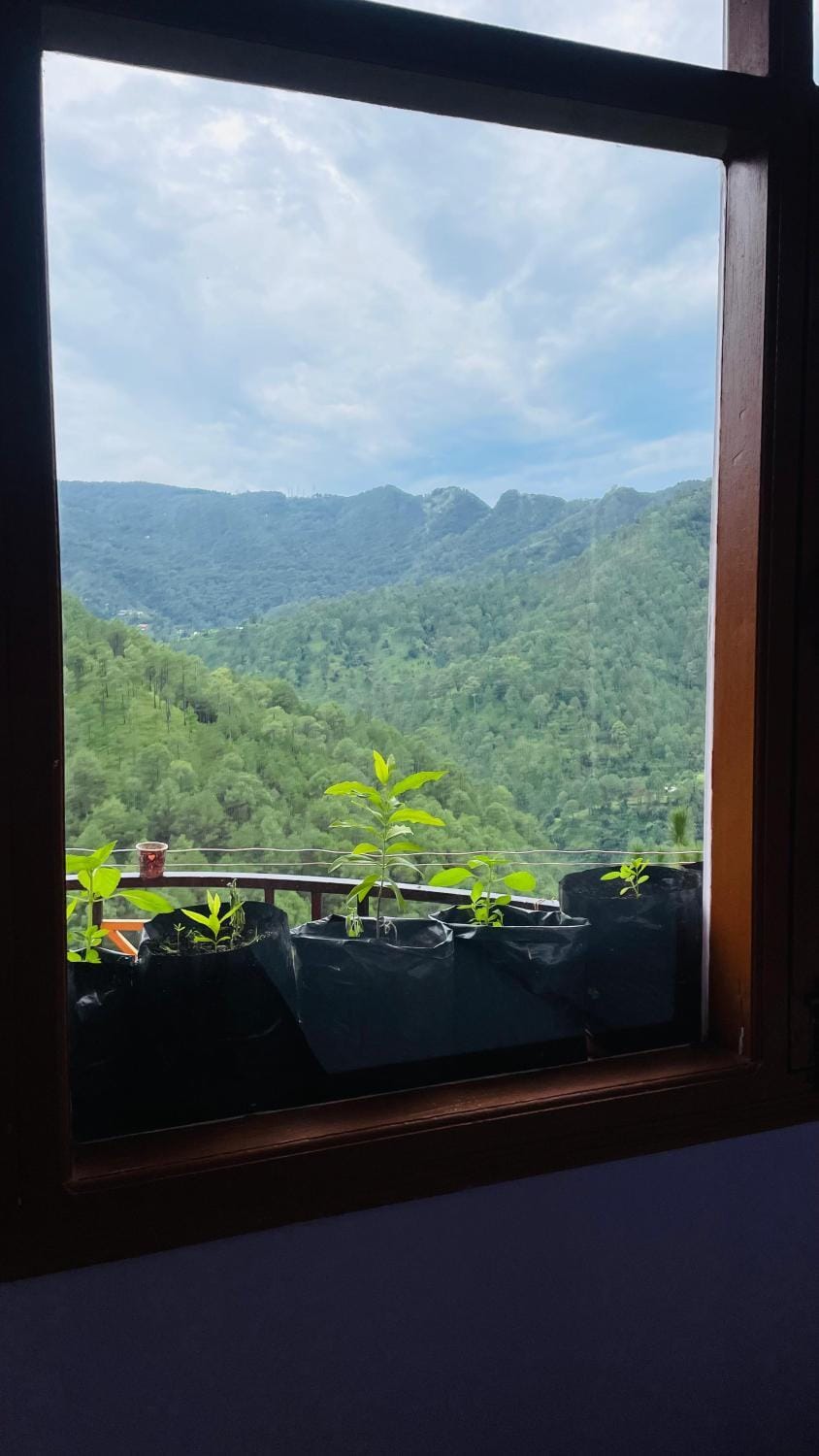 Mayank homestay shimla House in Shimla
