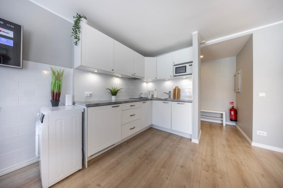 Kitchen or kitchenette, dishwasher, stove