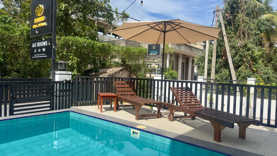 Garden, Pool view, Swimming pool, sunbed