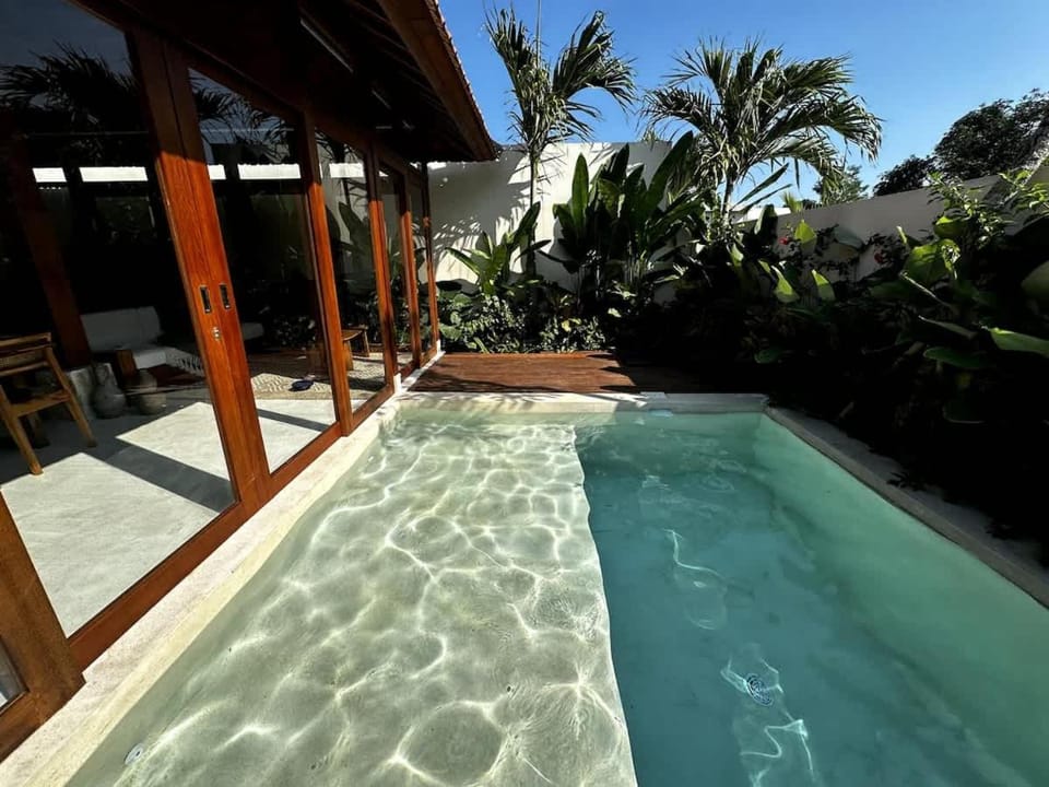 Natural landscape, Pool view, Swimming pool