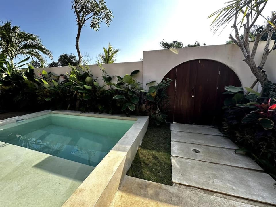 Natural landscape, Garden, Garden view, Pool view, Swimming pool