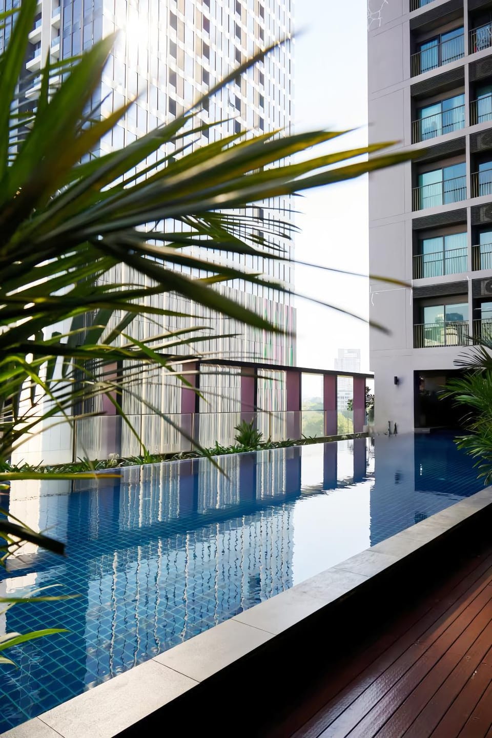 Swimming pool, Swimming pool, sunbed