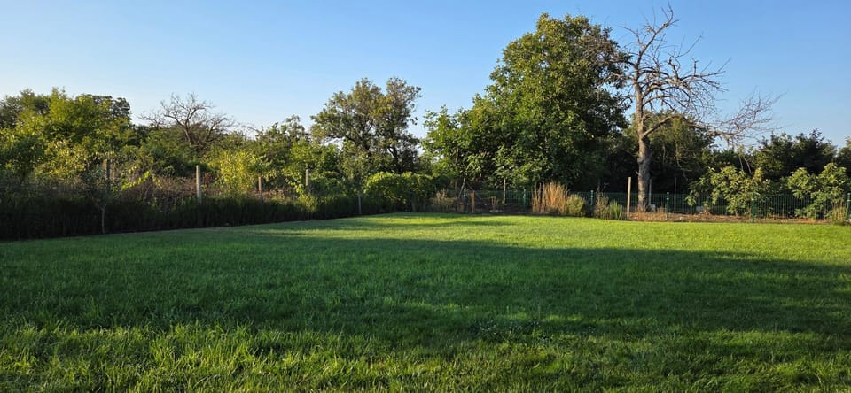 Spring, Day, Natural landscape, Garden, Garden view