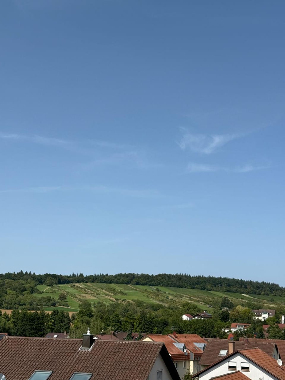 Neues, stilvolles Loft inmitten der Weinberge Apartment in Baden-Württemberg