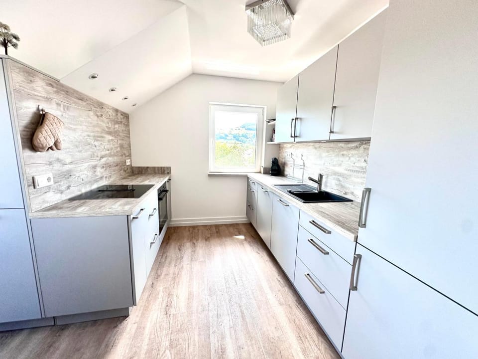 Kitchen or kitchenette, oven, stove