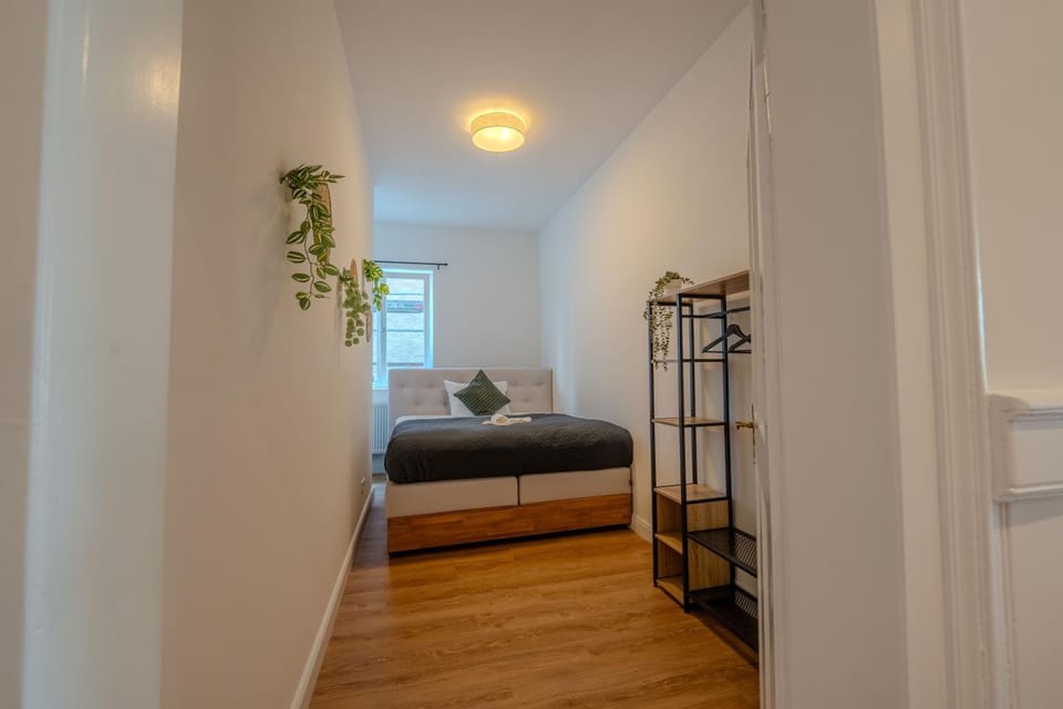 Bed, Photo of the whole room, Bedroom, bunk bed