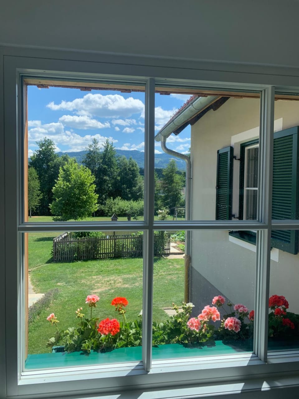 Garden view