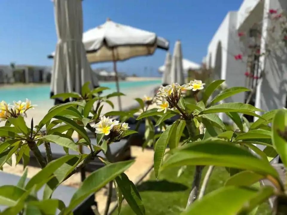 Spring, Day, Natural landscape, Garden, Beach, Garden view, Sea view